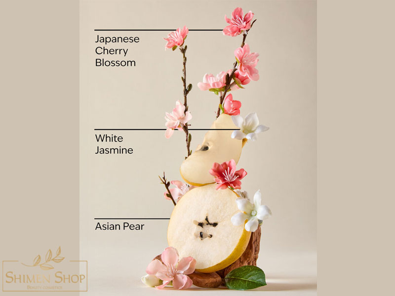 لوسیون بدن مغذی روزانه شکوفه گیلاس ژاپنی (Japanese Cherry Blossom) بث اند بادی ورکس