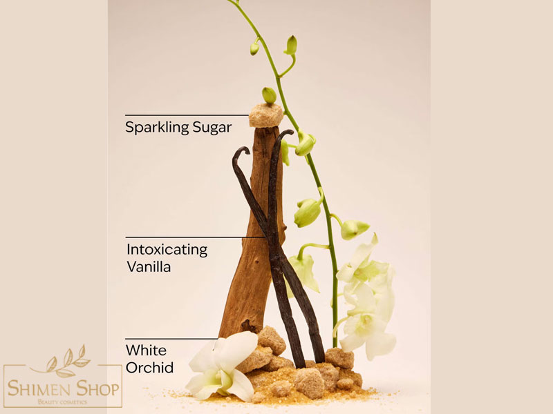 لوسیون بدن مغذی روزانه وانیل و شکر گرم (Warm Vanilla Sugar) بث اند بادی ورکس