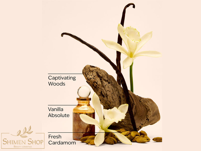 لوسیون بدن مغذی روزانه وانیلا رومنس (Vanilla Romance) بث اند بادی ورکس